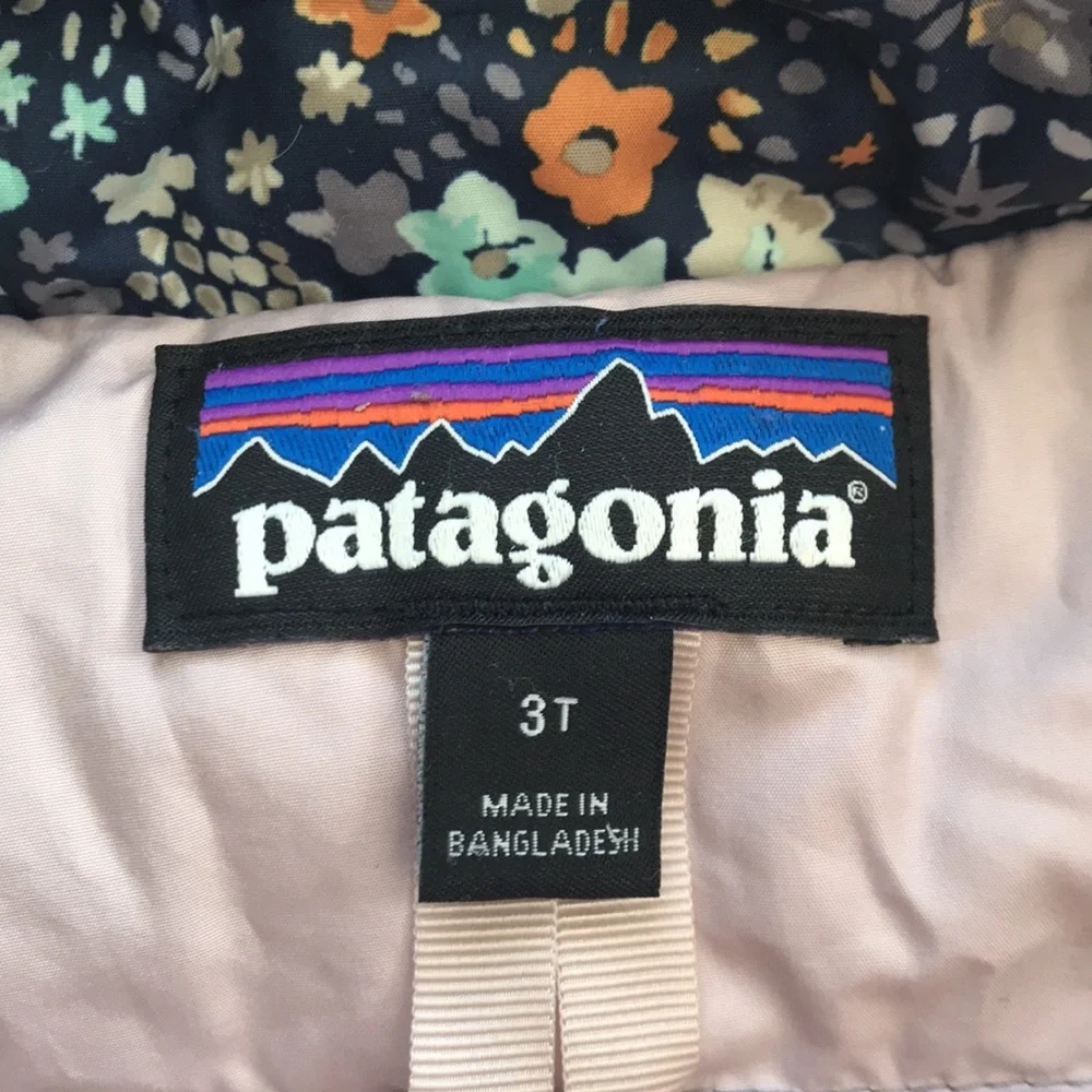 Patagonia Puffer Jacket (size 3T)